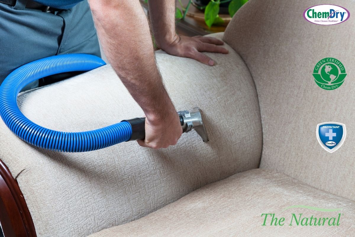 Upholstery Cleaning