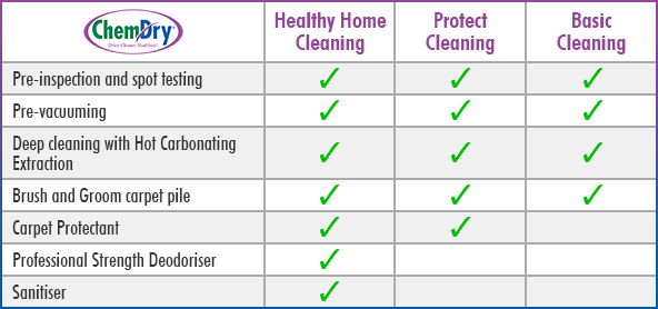 Carpet Cleaning Packages