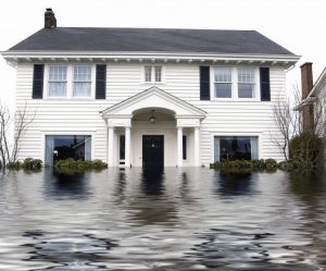 Water Damage Restoration Services